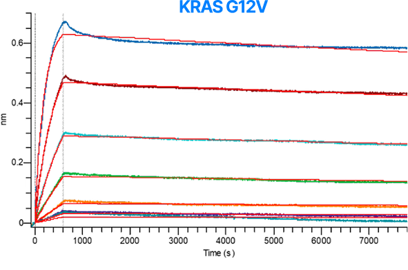 sch-BLI-KRASG12V