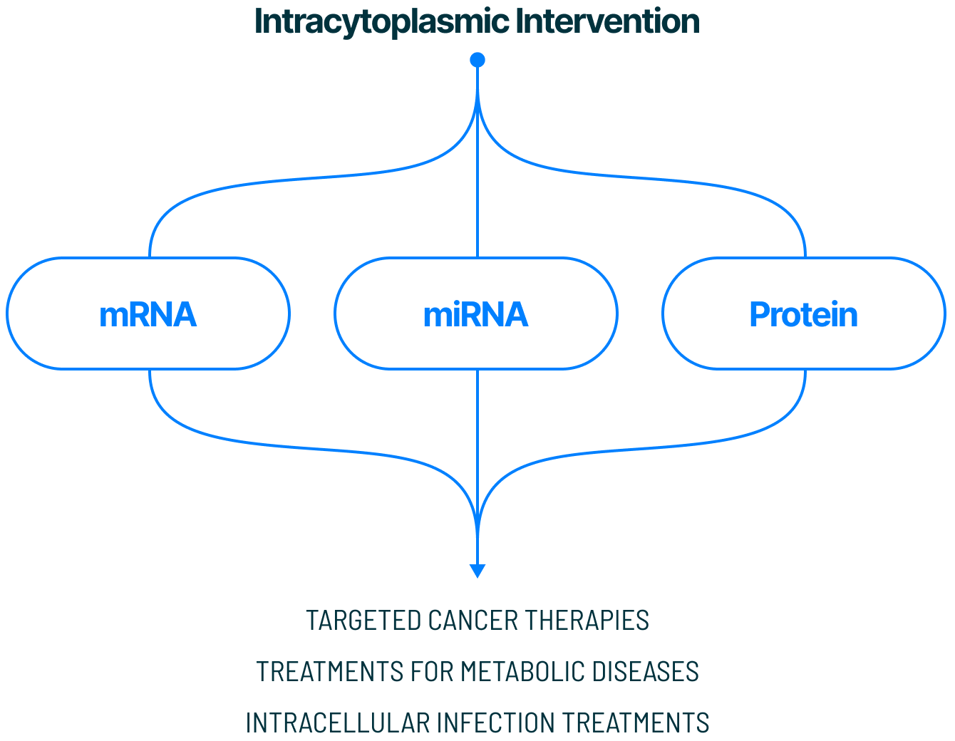 Intracytoplasmic intervention via mRNA, miRNA & protein for treatments